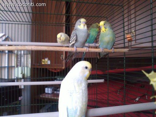 Famiglia Coco al completo!! ;)