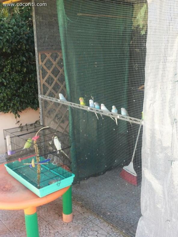 Saluto ai nuovi arrivati