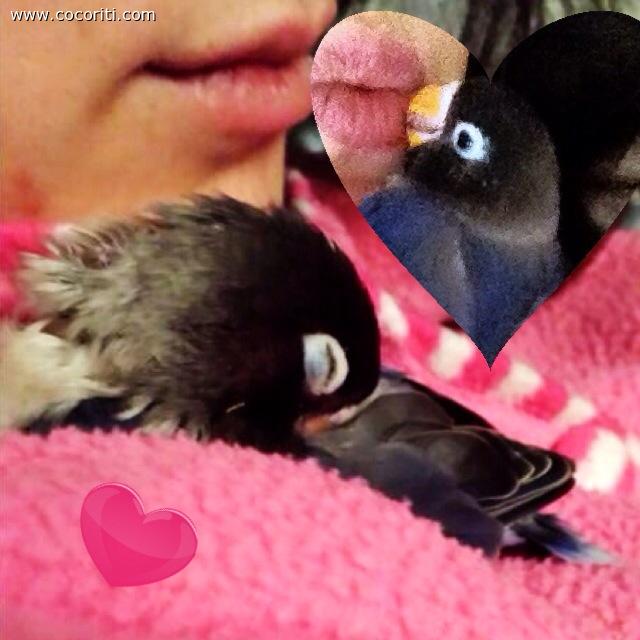 Tanto amore