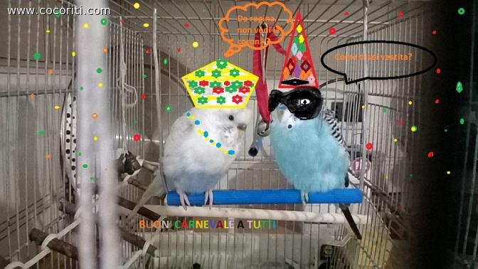 BUON CARNEVALE