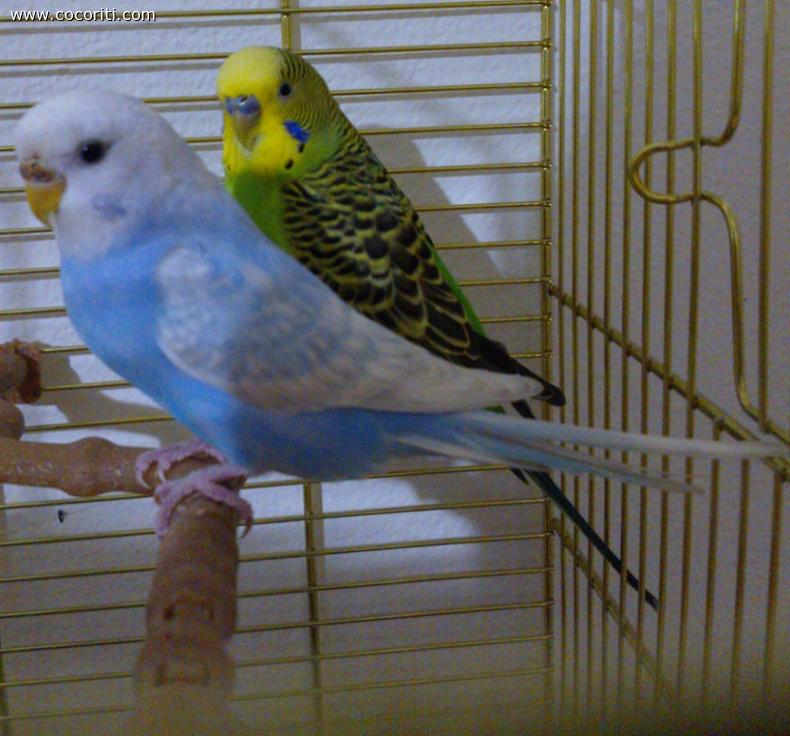Jack e Luna