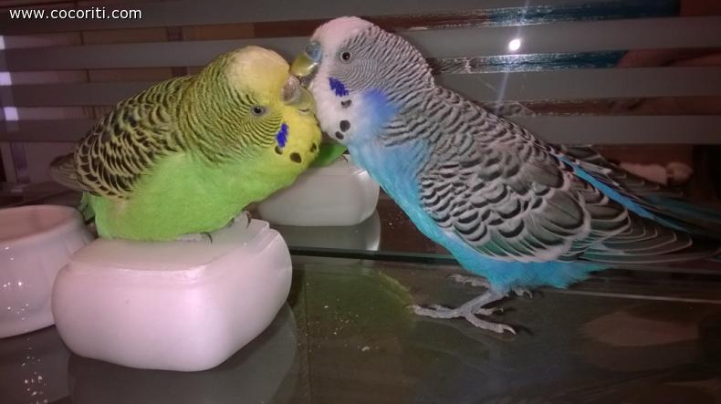 Momenti di coccole