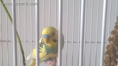 Il mio piccolo patato...Yuki ^o^ è un ammore ♥