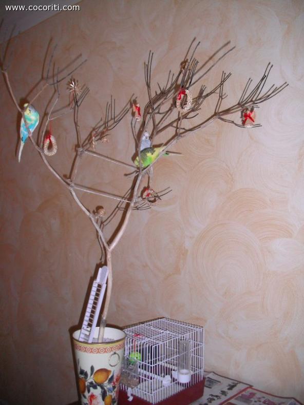 Nuovo albero per Zampa e Birba