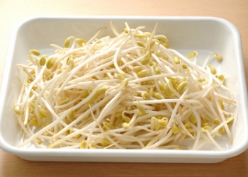 I germogli nella dieta dei pappagallini ondulati