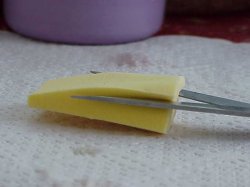 Costruire un tutore di gommapiuma per le zampette dei pulli