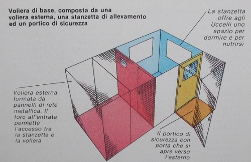 Schema voliera a esterno per pappagallini ondulati