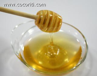 Il miele rappresenta un ideale integratore naturale nella dieta dei pappagalli Il miele rappresenta un ideale integratore naturale nella dieta dei pappagalli