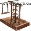 I giochi per le cocorite I giochi per le cocorite