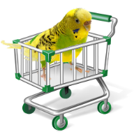 Il mio coco