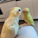 Foto del profilo di Vivi17
