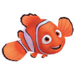 Foto del profilo di nemo
