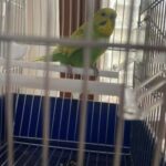 Foto del profilo di maddalena