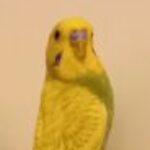 Foto del profilo di Fabio