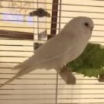 Foto del profilo di Fabio