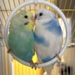 Foto del profilo di Angela89