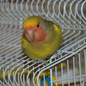 Foto del profilo di MaxB72