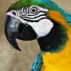 Foto del profilo di norberto13
