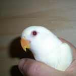 Foto del profilo di Batty00