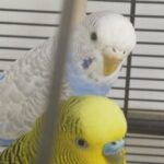 Foto del profilo di Marica